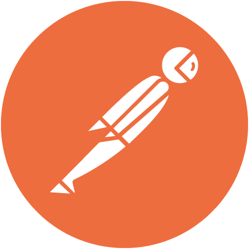 software log