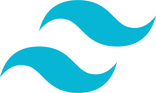 software log