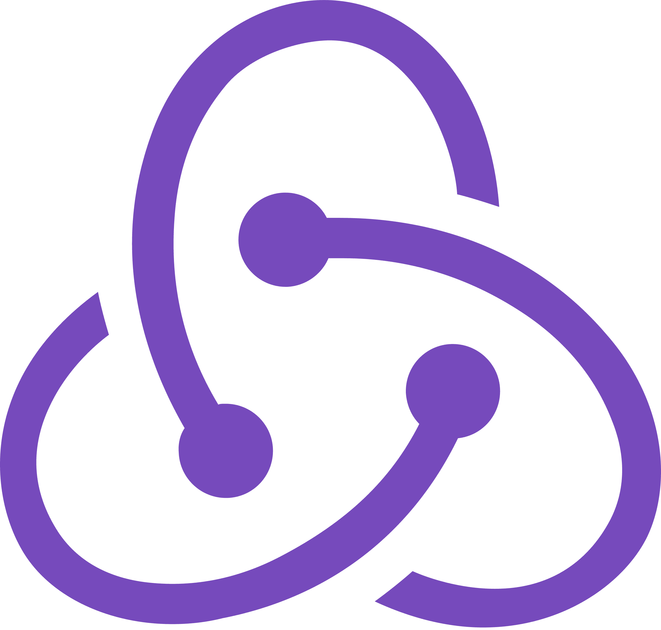 software log